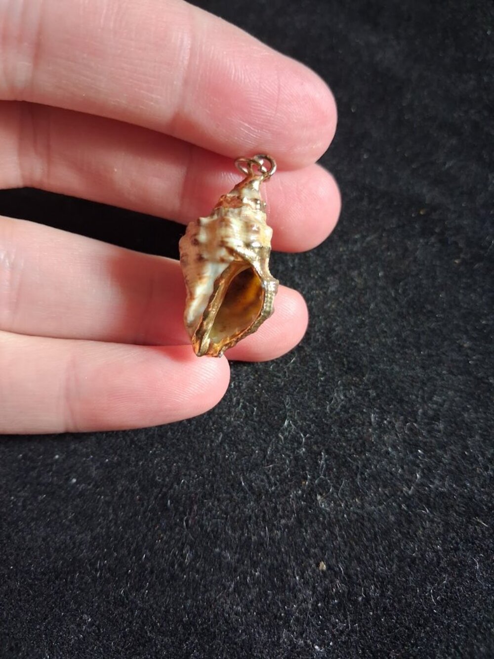 Shell pendant